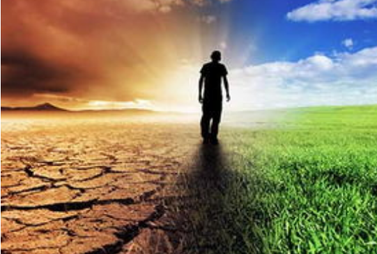 互聯(lián)網(wǎng)公裝崛起的主要因素